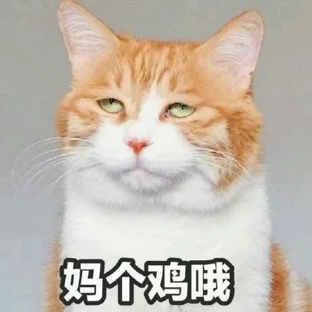 006cNseLgy1fk0876zzt6j30c80c8t9p.jpg